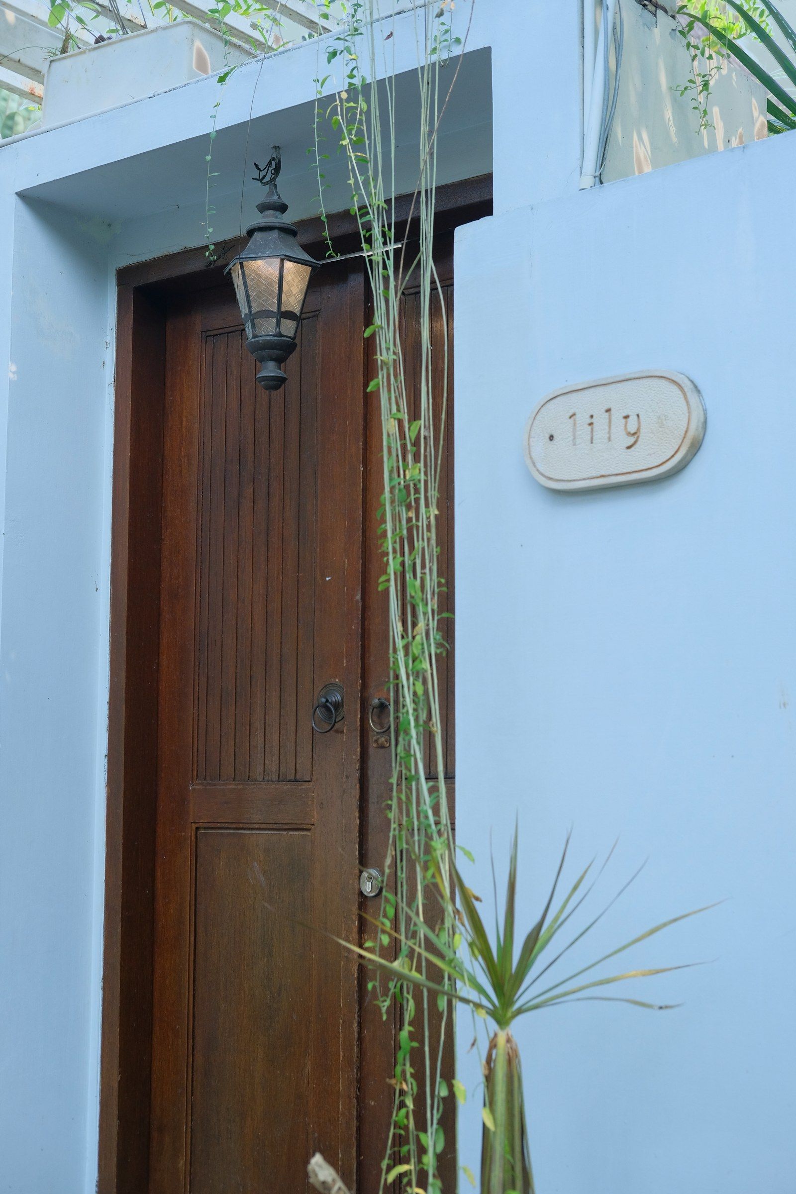 The door of the Lily villa, with its flower-name plaque mounted beside it.