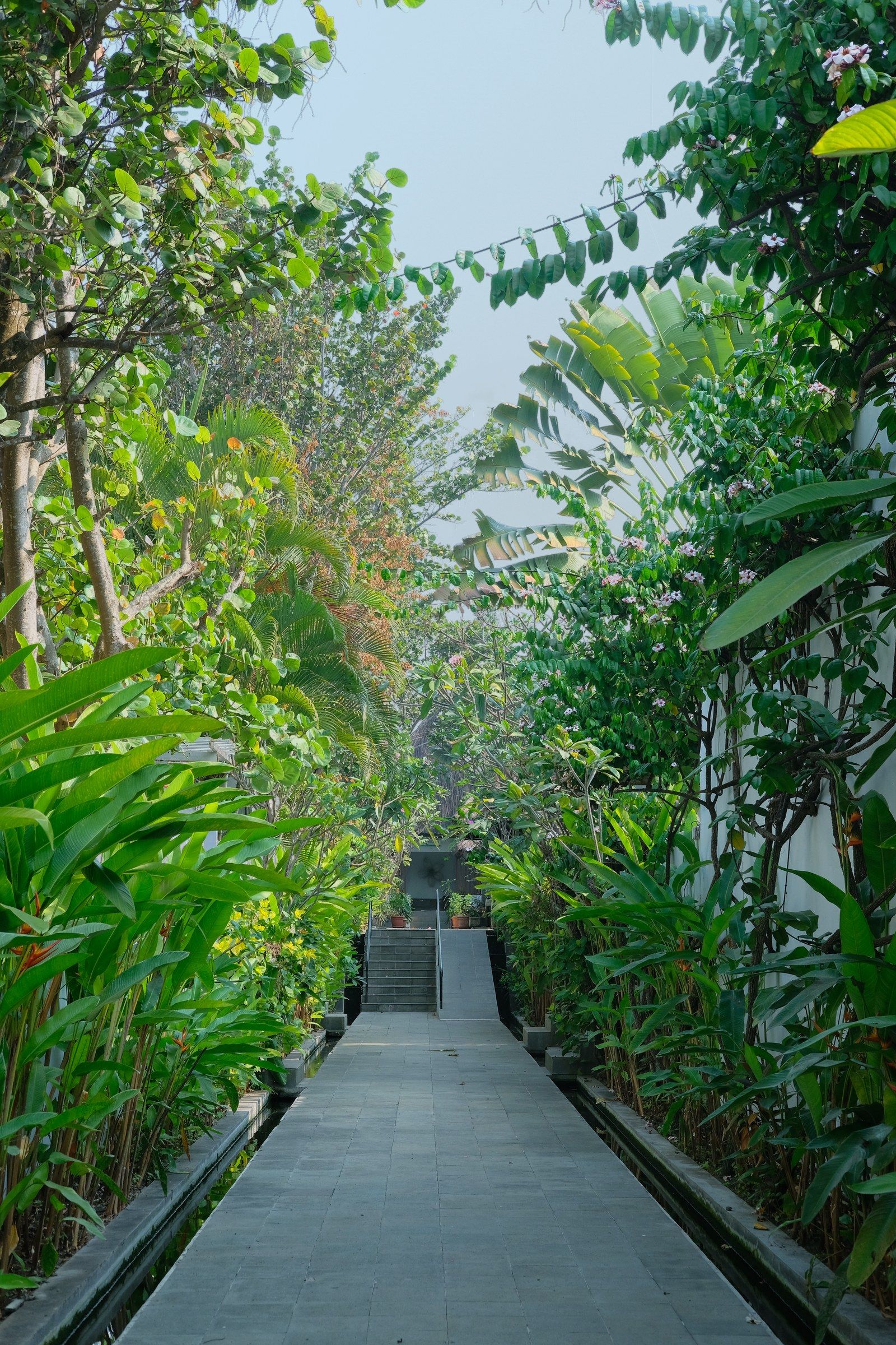 A green pathway between the villas inside the estate.