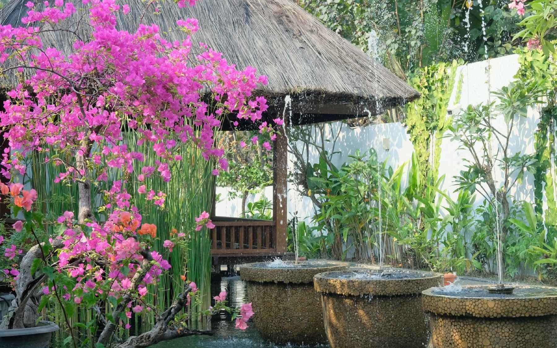 Garden and water fountain